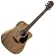 Violão Elétrico Hofma HMF-270