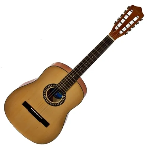 Viola 10 Cordas Austin A10