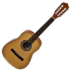 Viola 10 Cordas Austin A10