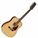Violão 12 Cordas Elétrico Eagle CH-888E12