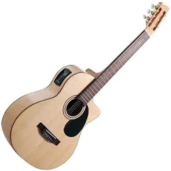 Violão Elétrico Di Giorgio Bird's Eye