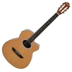 Violão Elétrico Seizi Pro Nylon
