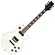Guitarra Waldman GLP-650