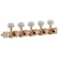 Tarraxa para Viola Deval Pino Grosso 502G Dourado