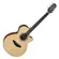 Violão Elétrico Takamine GF15CE/ TP4T