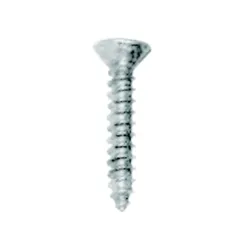 Parafuso Spirit WO2.94X13