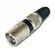 Plug XLR Macho Storm PGCN0003 Preto