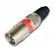 Plug XLR Macho Storm PGCN0001 Vermelho
