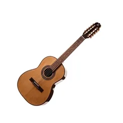 Viola 10 Cordas Elétrica Rozini RV115AT.N-LP Clássica Presença Brasil