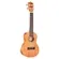 Ukulele Concerto Shelby SU23M