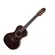 Viola 10 Cordas Elétrica Rozini RV216AT.F-LP Morena Cinturada Fosca