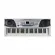 Teclado Waldman KEP-54