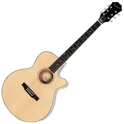 Violão Elétrico Epiphone PR4E Limited