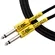 Cabo P10 X P10 Mac Classic 10FT / 3,05M IC10B