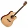 Violão Elétrico Washburn WD10CEPACK