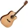 Violão Elétrico Washburn WD10CE