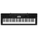 Teclado Casio CTK-3500