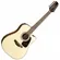 Violão 12 Cordas Elétrico Takamine GD15CE 12