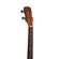 Ukulele Tenor Malibu 26S 26 Sapele com Bag