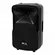 Caixa Ativa WLS W15 PRO com USB Bluetooth 400W