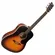 Violão Elétrico Tagima Woodstock TW-25 Folk