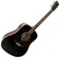 Violão Elétrico Tagima Woodstock TW-25 Folk