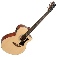 Violão Elétrico Tagima Woodstock TW-29 Médio Jumbo