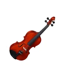Violino 4/4 Vignoli VIG344