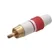 Plug RCA MXT 64.1.405 Esmaltado Ponta Dourada Vermelho