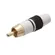 Plug RCA MXT 64.1.406 Esmaltado Ponta Dourada Preto