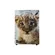 Cajon Infantil Nobre Tok 605 Leãozinho