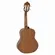 Cavaquinho Elétrico Giannini Raiz CS1 Cedro EQ