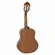 Cavaquinho Giannini Raiz CS1 Cedro