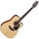 Violão Elétrico Takamine GD15CE/ TP4T