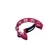 Pandeirola Liverpool PML001