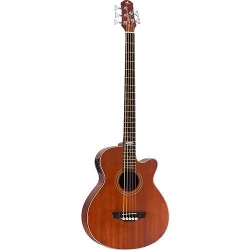 Baixolão 5 Cordas Strinberg SB250C