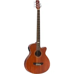 Baixolão 5 Cordas Strinberg SB250C