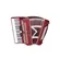 Acordeon 80 Baixos Michael ACM8007N com Case