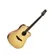 Violão Elétrico Malibu VFGC Grand Canyon
