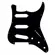 Escudo para Guitarra Strinberg PKG Strato SSS