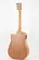 Violão Elétrico Strinberg FS-4D Forest Folk