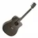 Violão Elétrico Strinberg FS-4D Forest Folk