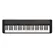 Teclado Casio Casiotone CT-S1