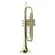 Trompete Shelter SFT6418L Laqueado Si Bemol