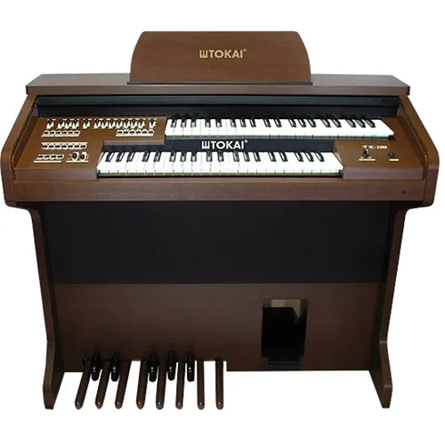 Órgão Eletrônico Tokai TK-100
