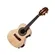 Cavaquinho Elétrico RC01EL.N.I Studio