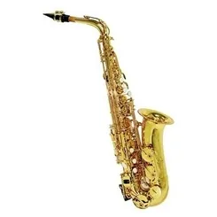 Saxofone Alto Shelter SGFT6430L Laqueado Dourado