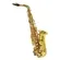 Saxofone Alto Shelter SGFT6430L Laqueado Dourado