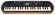 Teclado Infantil Casio SA-76