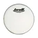 Pele 11" Leitosa Torelli